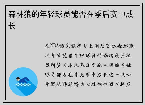 森林狼的年轻球员能否在季后赛中成长